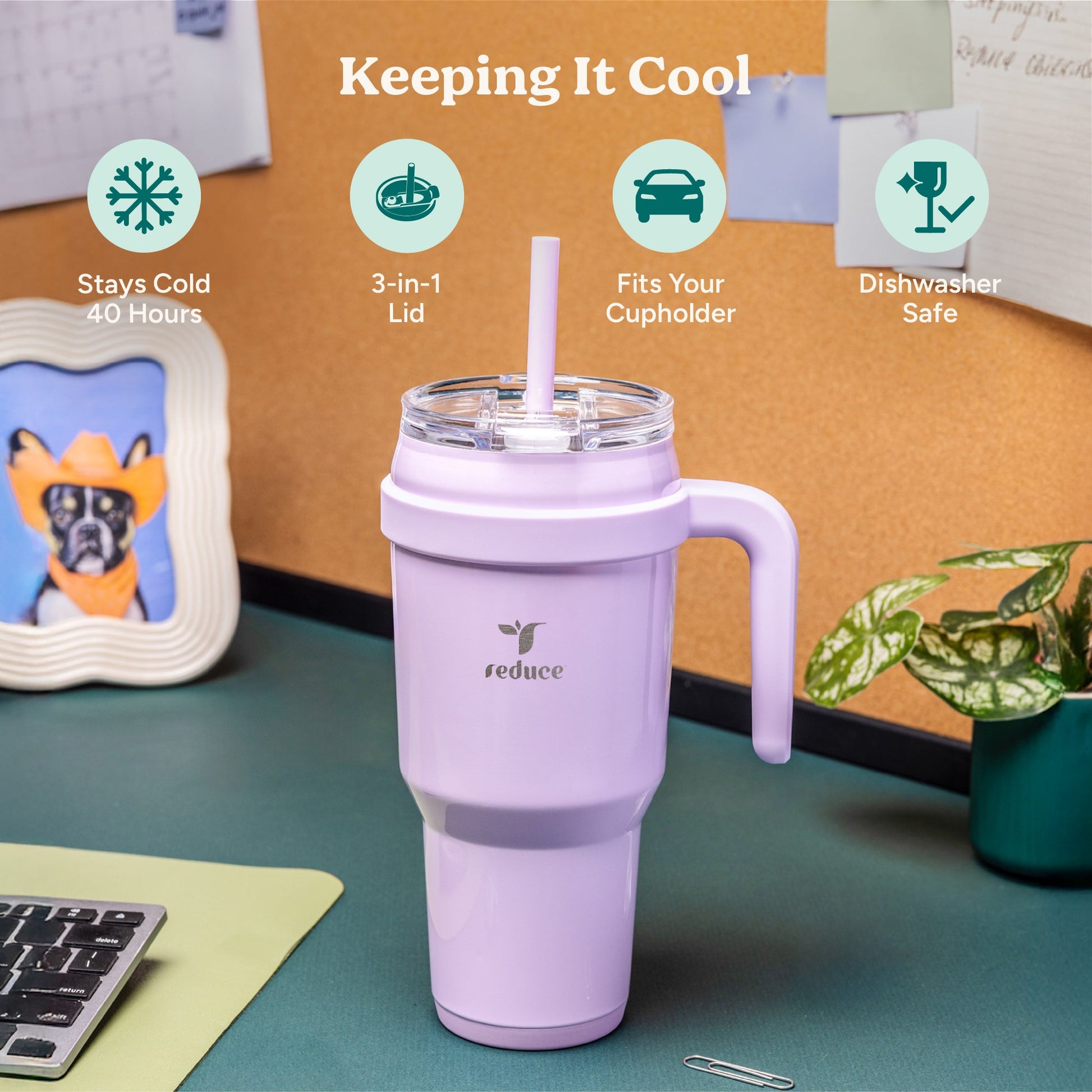 cold1-40-oz-h2 Cold1_40oz_Daiquiri_Infographic_1.jpg