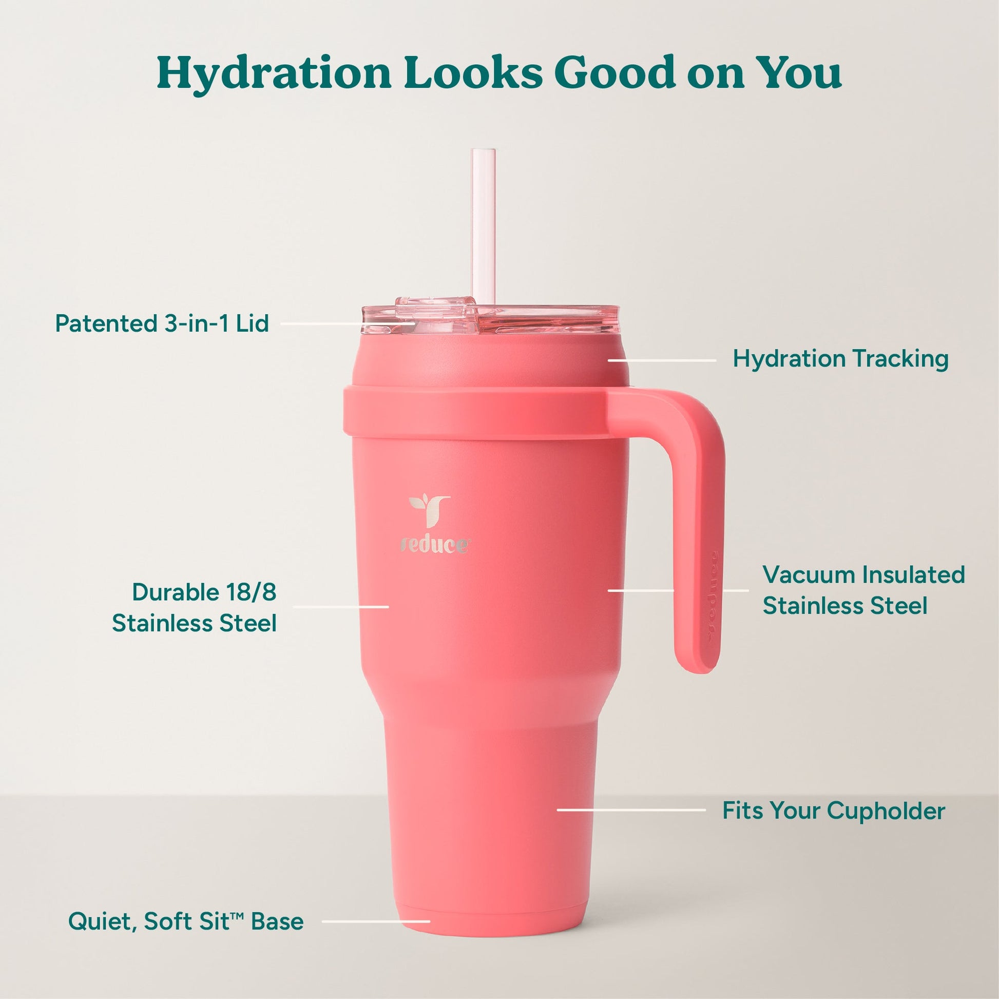 cold1-40-oz-h2 Cold1_40oz_Daiquiri_Infographic_2.jpg
