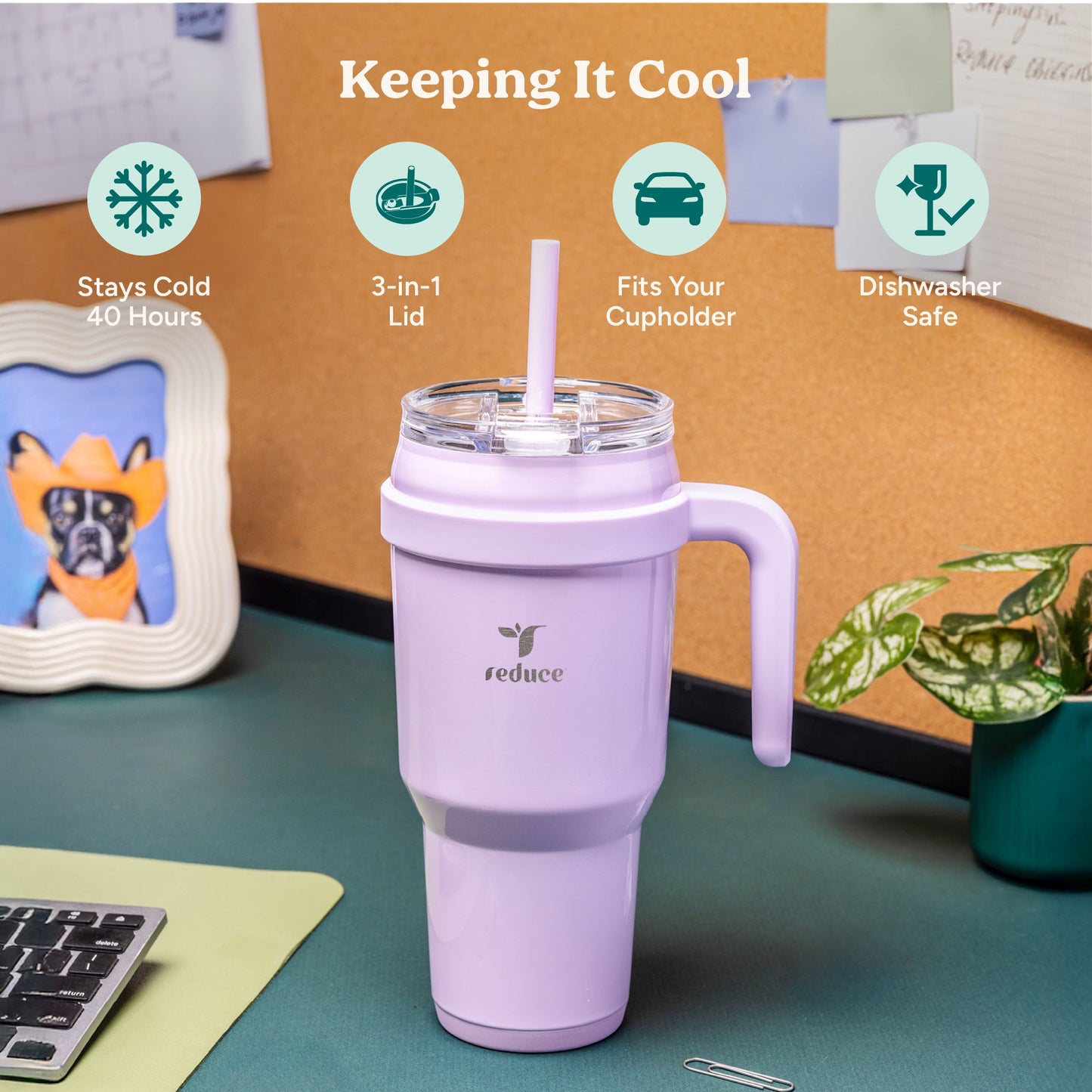 cold1-40-oz-h2 Cold1_40oz_PalmLeaf_Infographic_1.jpg