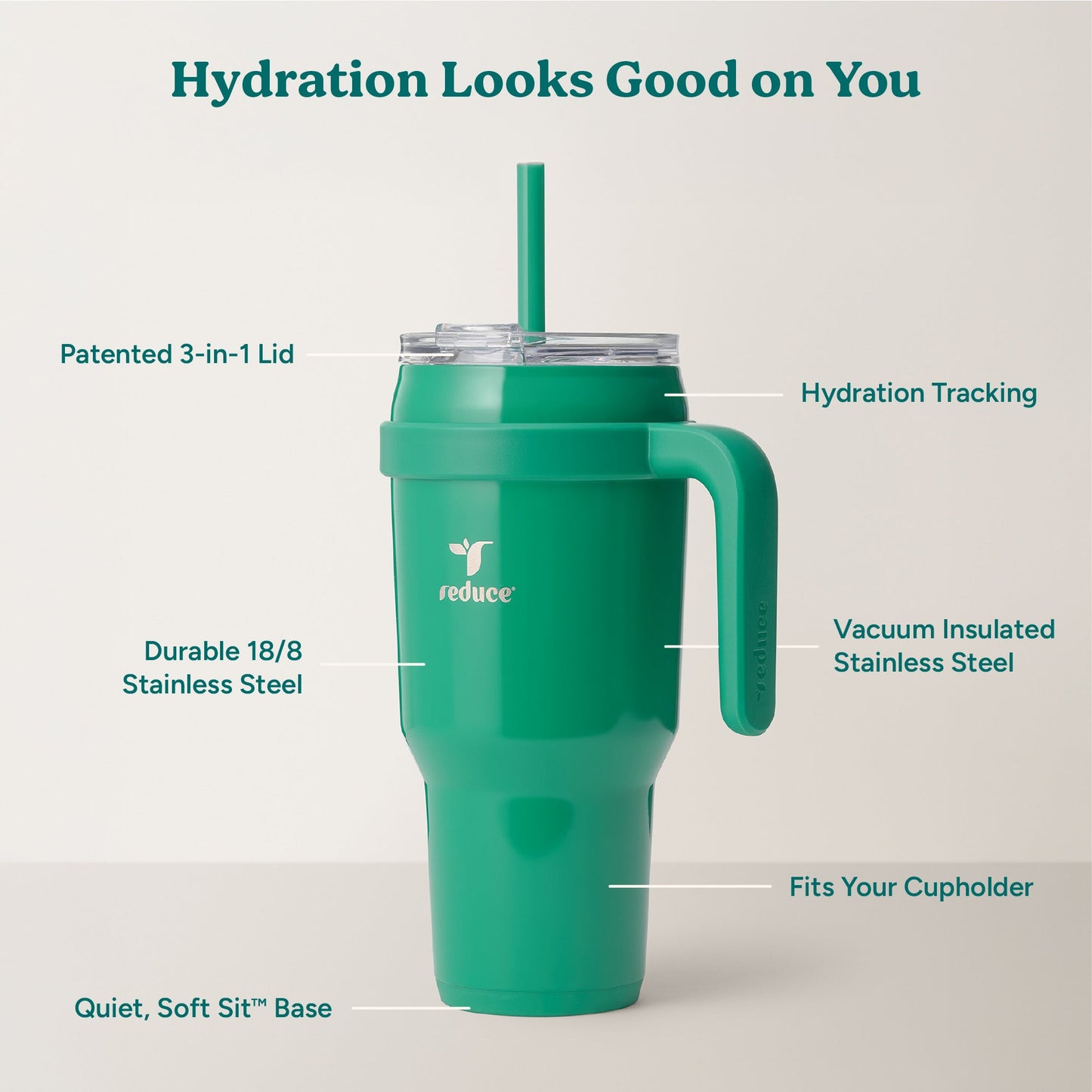 cold1-40-oz-h2 Cold1_40oz_PalmLeaf_Infographic_2.jpg