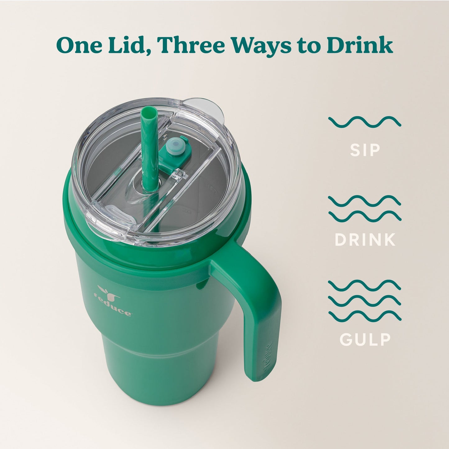 cold1-40-oz-h2 Cold1_40oz_PalmLeaf_Infographic_3.jpg