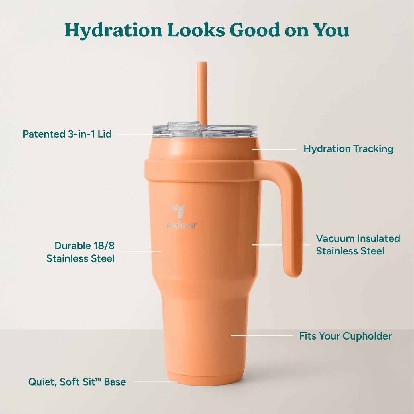 cold1-40-oz-h2 Cold1_40oz_Papaya_Infographic_2.jpg