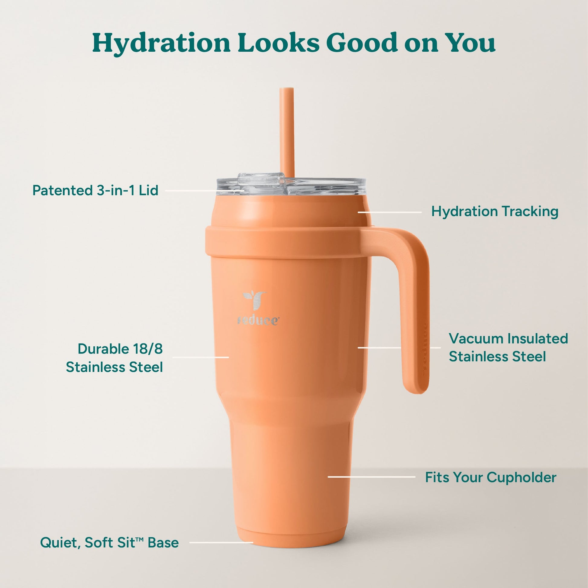 cold1-40-oz-h2 Cold1_40oz_Papaya_Infographic_2.jpg