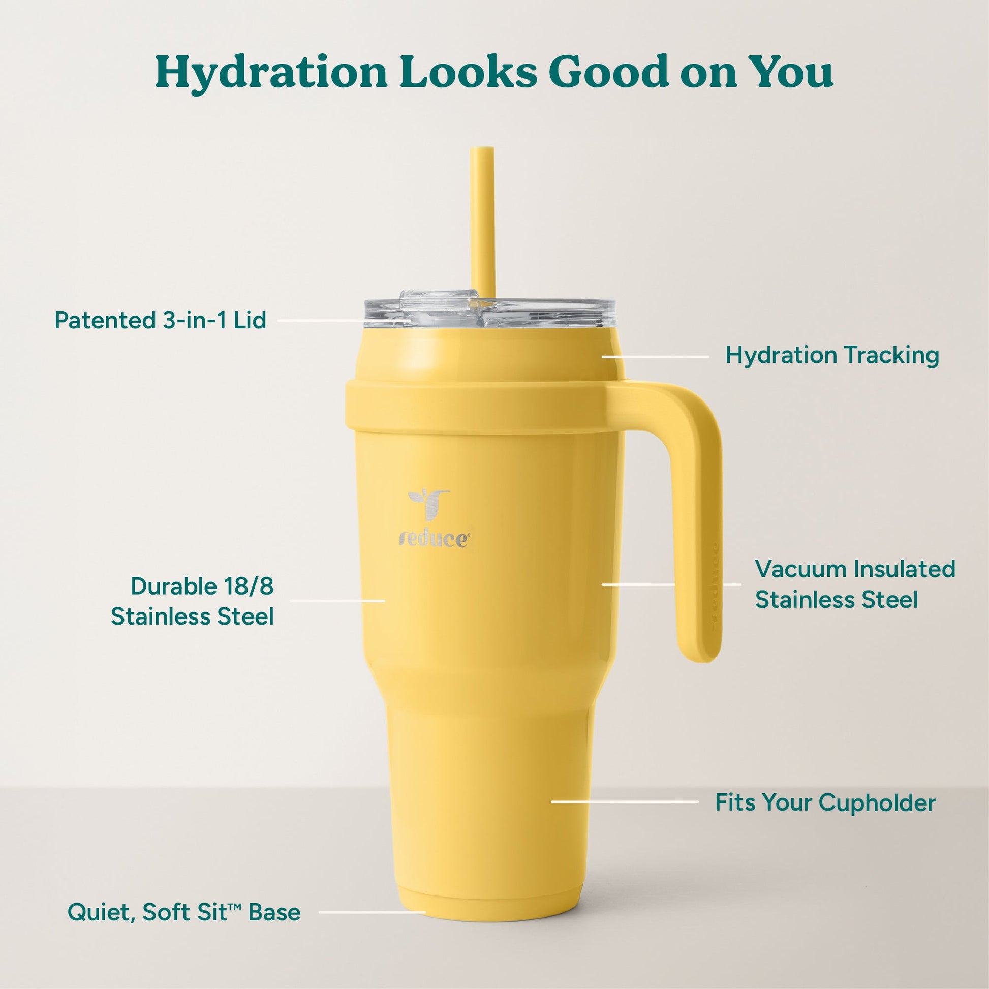 cold1-40-oz-h2 Cold1_40oz_Pineapple_Infographic_2.jpg